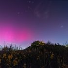 Canossa Northern Lights 