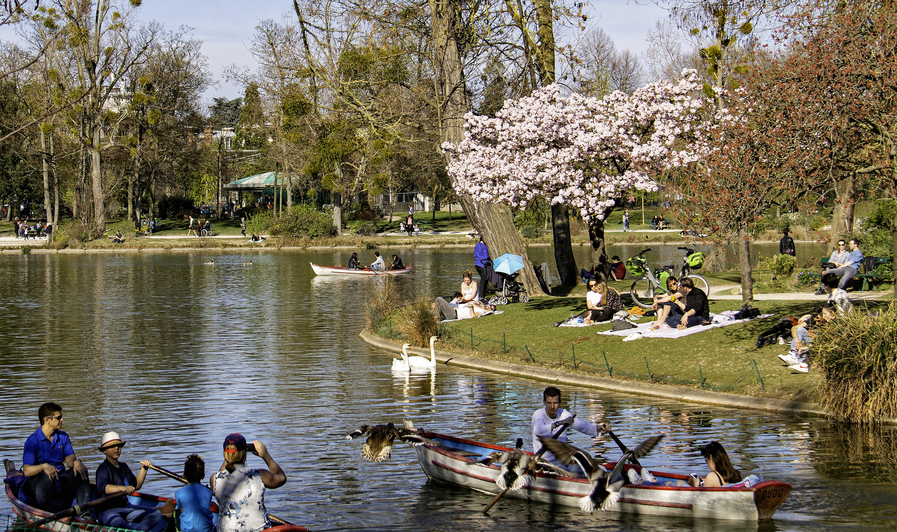 Canotage sur le lac .