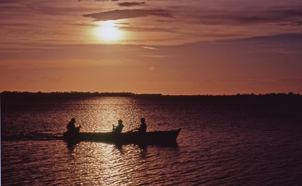 canottaggio al tramonto