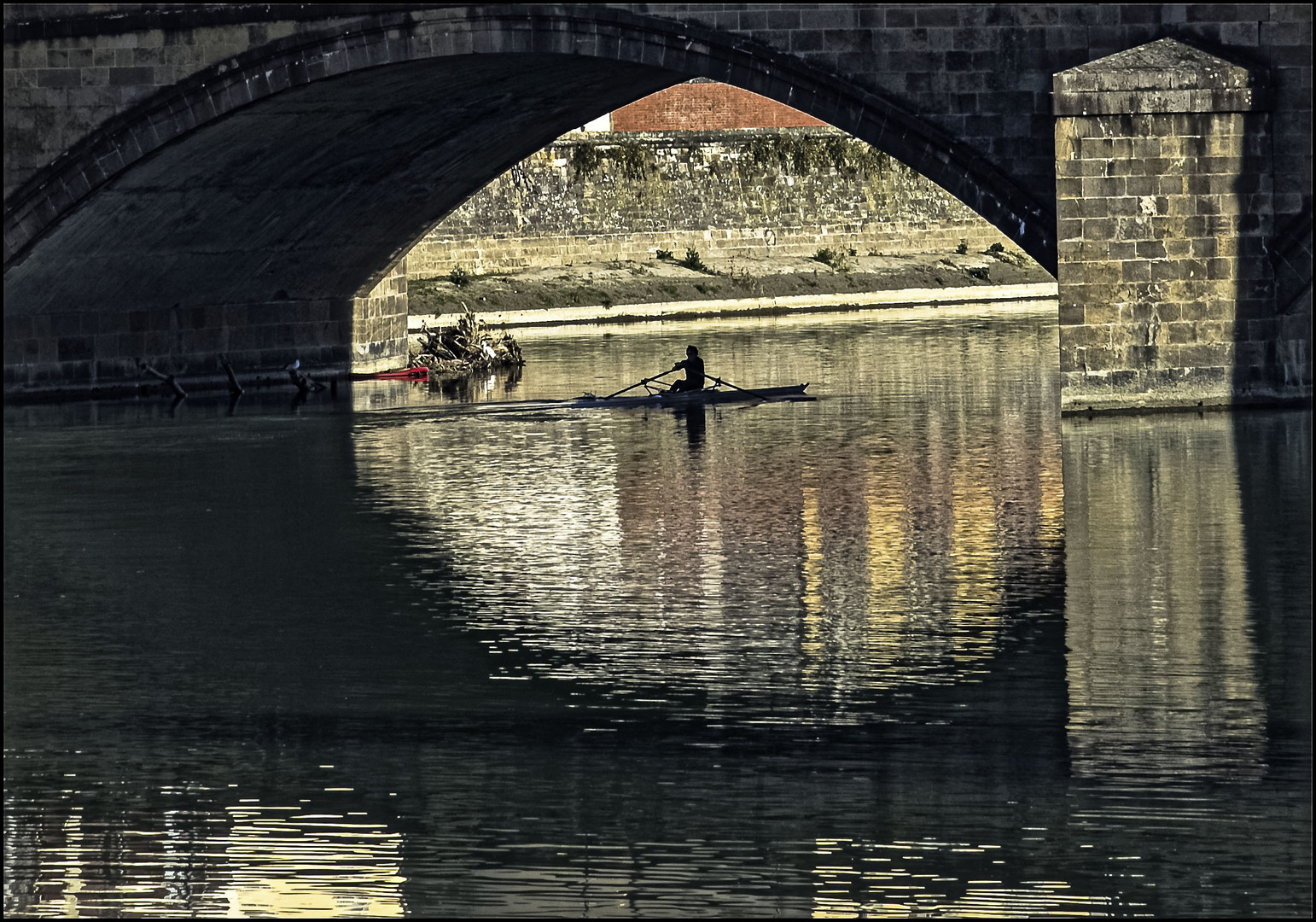 Canottiere in Arno