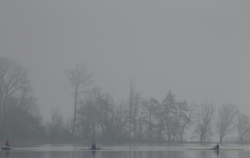 Canottieri nella nebbia