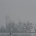 Canottieri nella nebbia