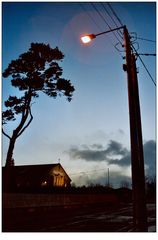 can't remember how many times I walked past that street lamp