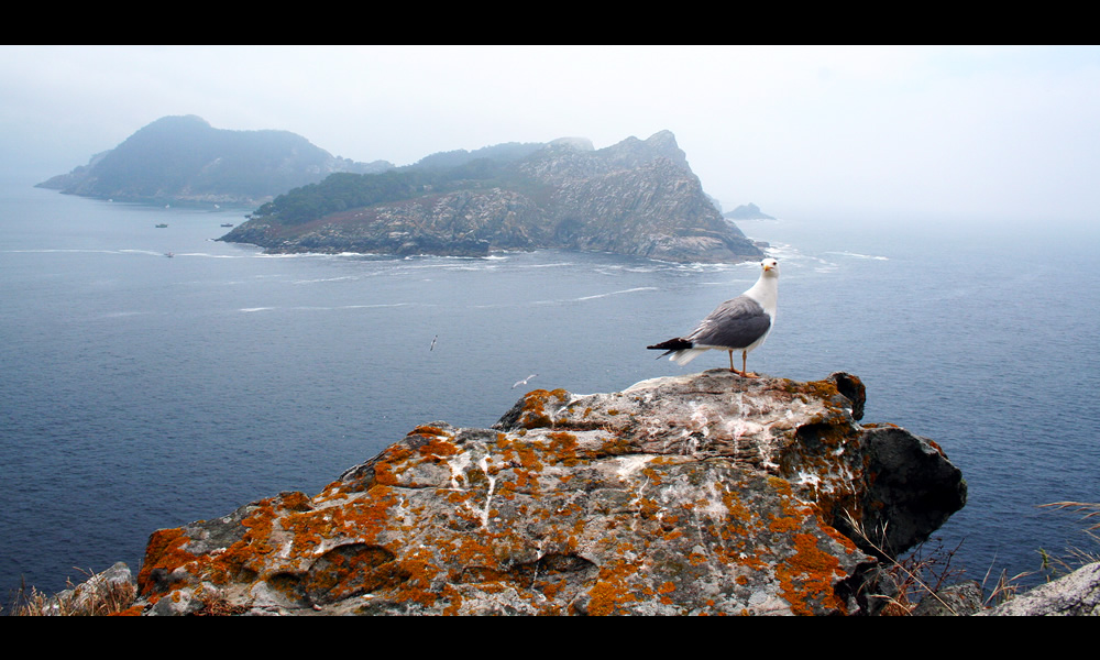 Cantabria