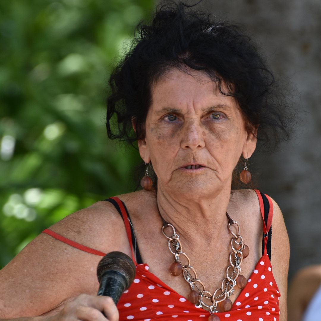 cantante en el parque 03