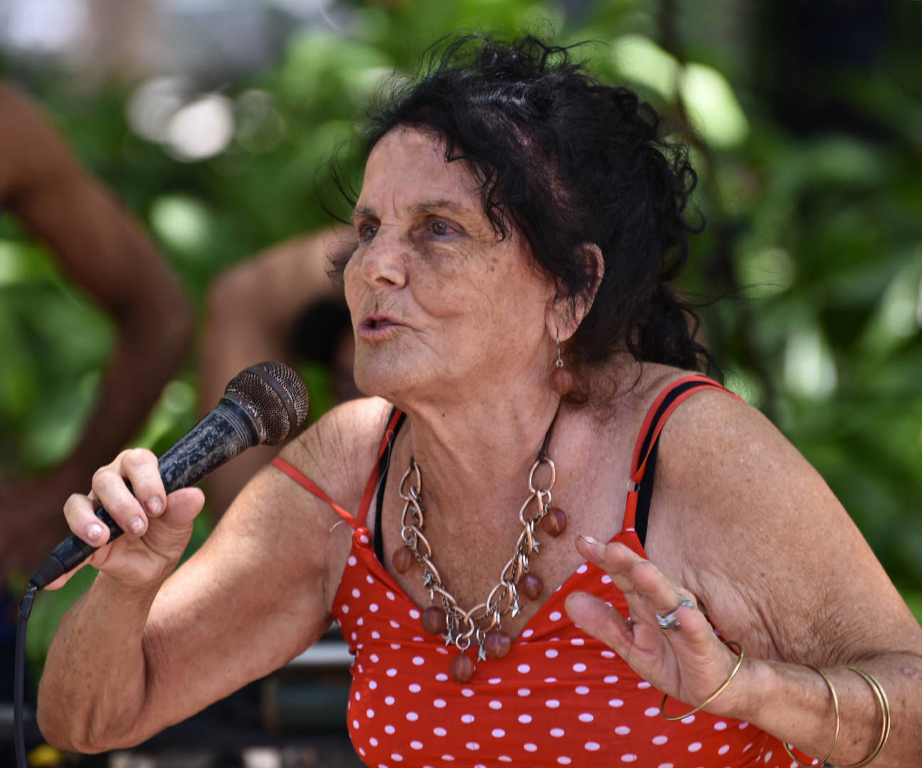 cantante  en el parque 04