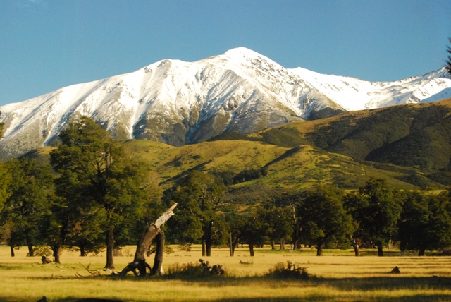 Canterbury Plains