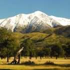 Canterbury Plains