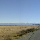 Canterbury Plains