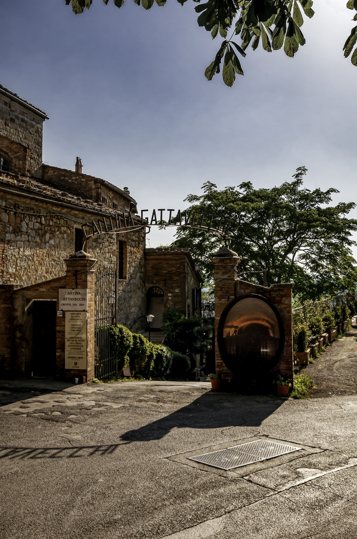 Cantina Gattavecchi