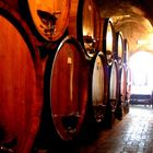 Cantine in Montepulciano