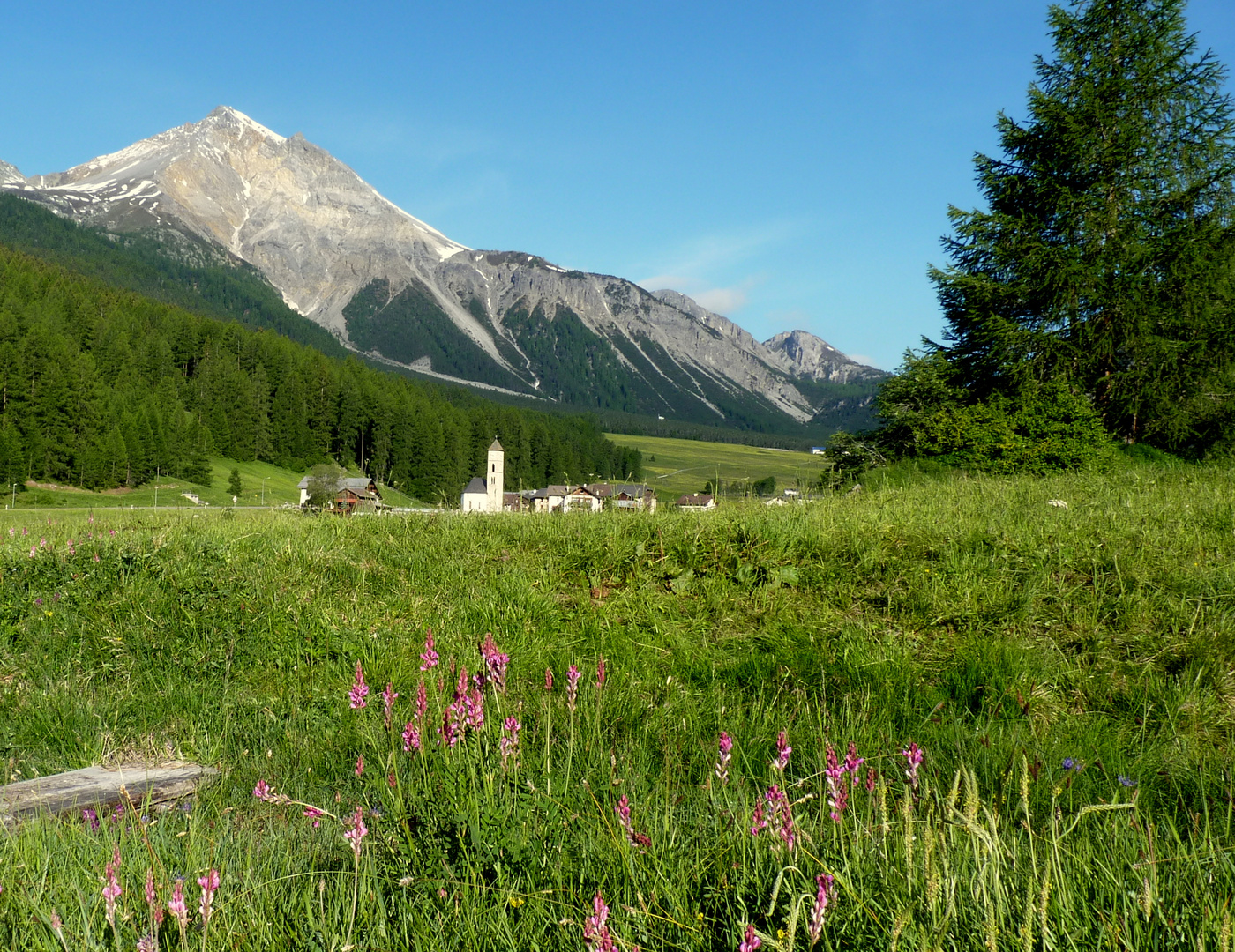 Canton de los Grisones / Canton de Grison / Graubünden...02