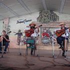 cantores gauchos, Argentina