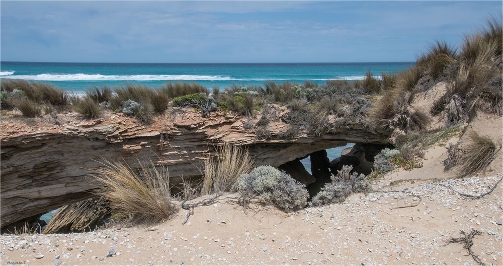 Canunda Beach