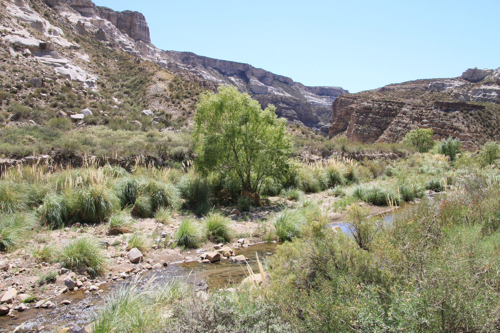 Canyon de Atuel 5 (Provinz Mendoza)