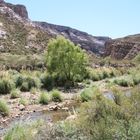 Canyon de Atuel 5 (Provinz Mendoza)