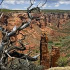 Canyon de Chelly