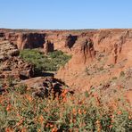 Canyon de Chelly....