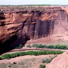 Canyon de Chelly , Navajo Country, Pueblo Bauten am Felsen,CO