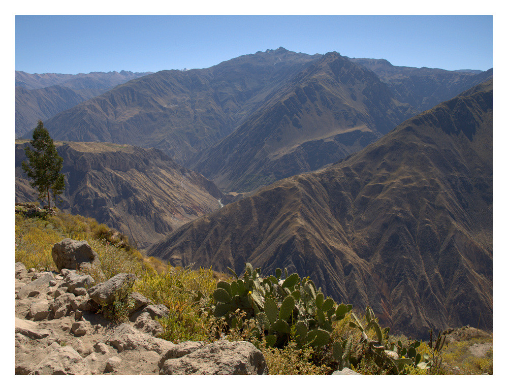 Canyón de Colca #3