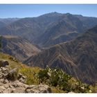 Canyón de Colca #3