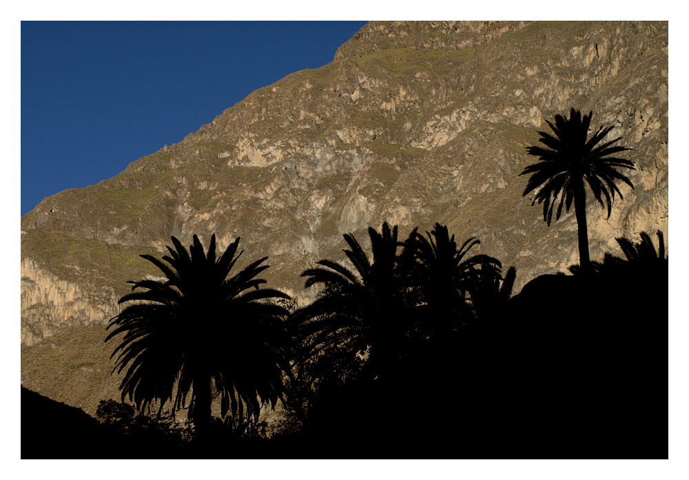 Canyón de Colca