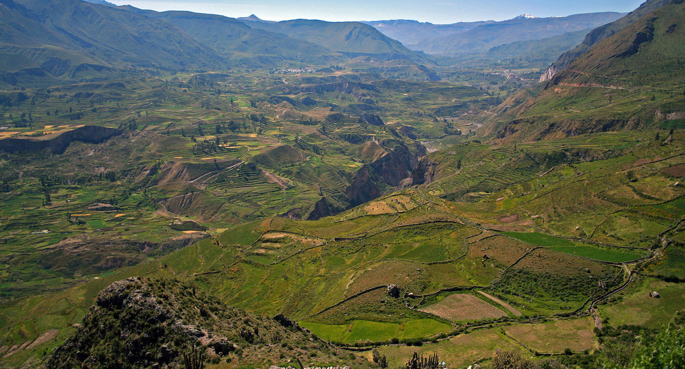 Canyon del Colca 2