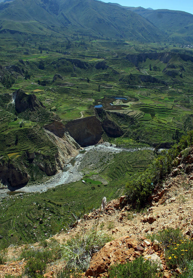 Canyon del Colca