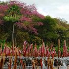 Canyon do Rio Poty 3- Piauí - Brasil