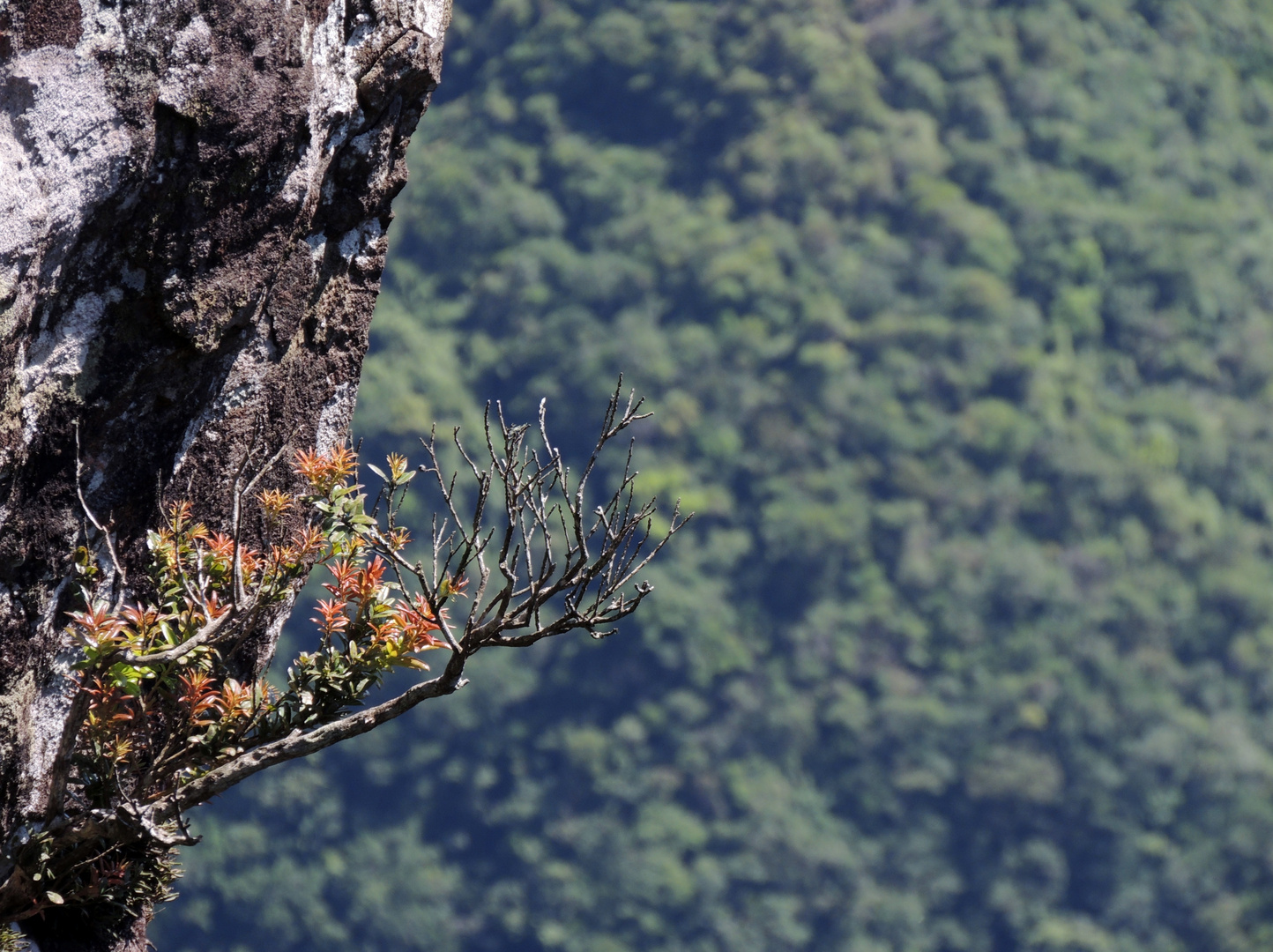 Canyon Fortaleza - SC