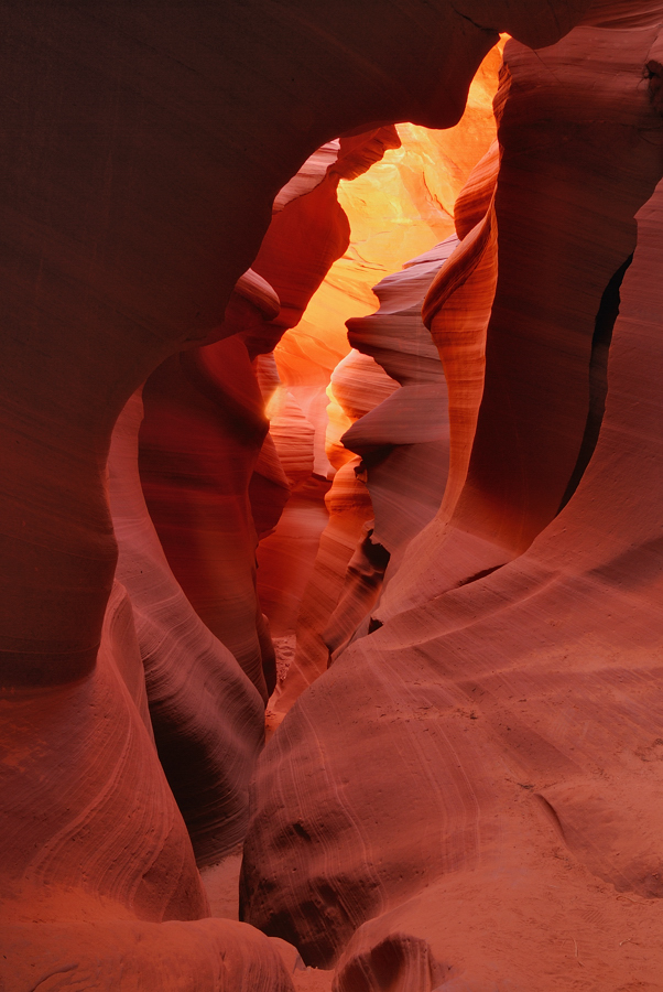 *Canyon Glow*