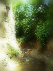 Canyon im Feenwald