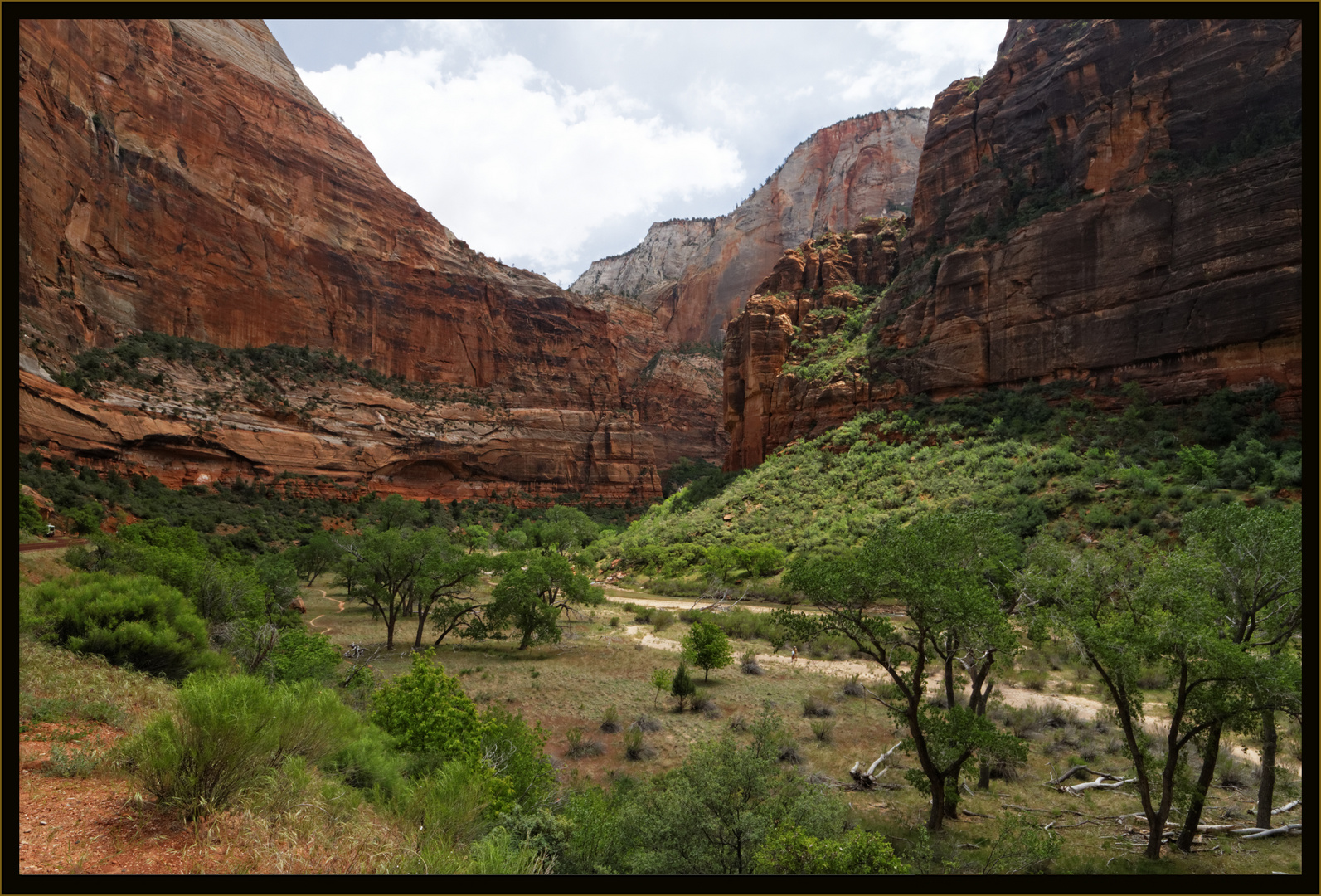 Canyon im Zion NP