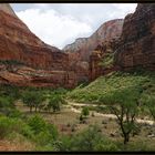 Canyon im Zion NP