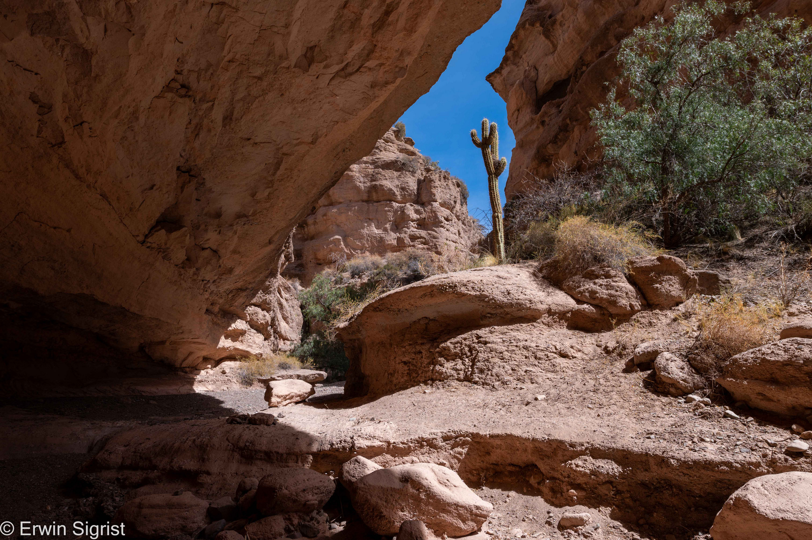 Canyon in der Nähe von Tupiza (Bolivien)