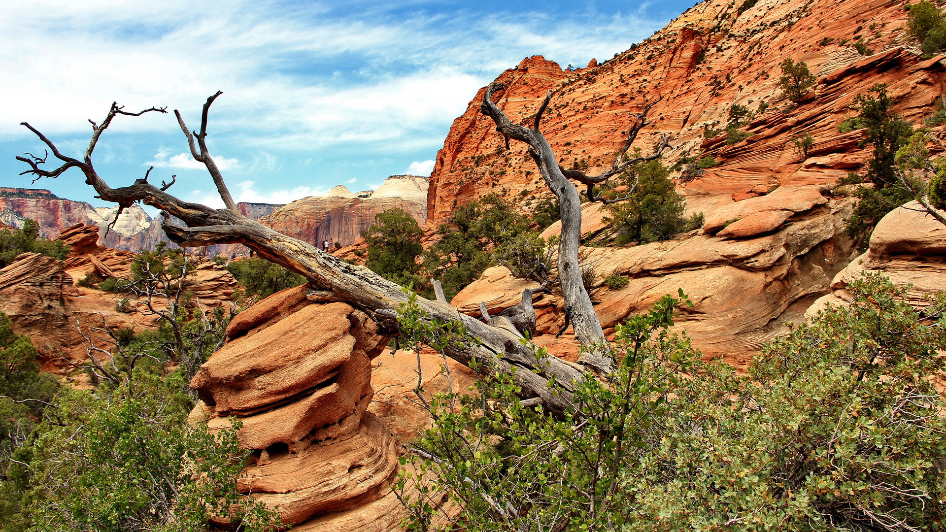 Canyon Overlook Trail