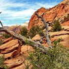 Canyon Overlook Trail