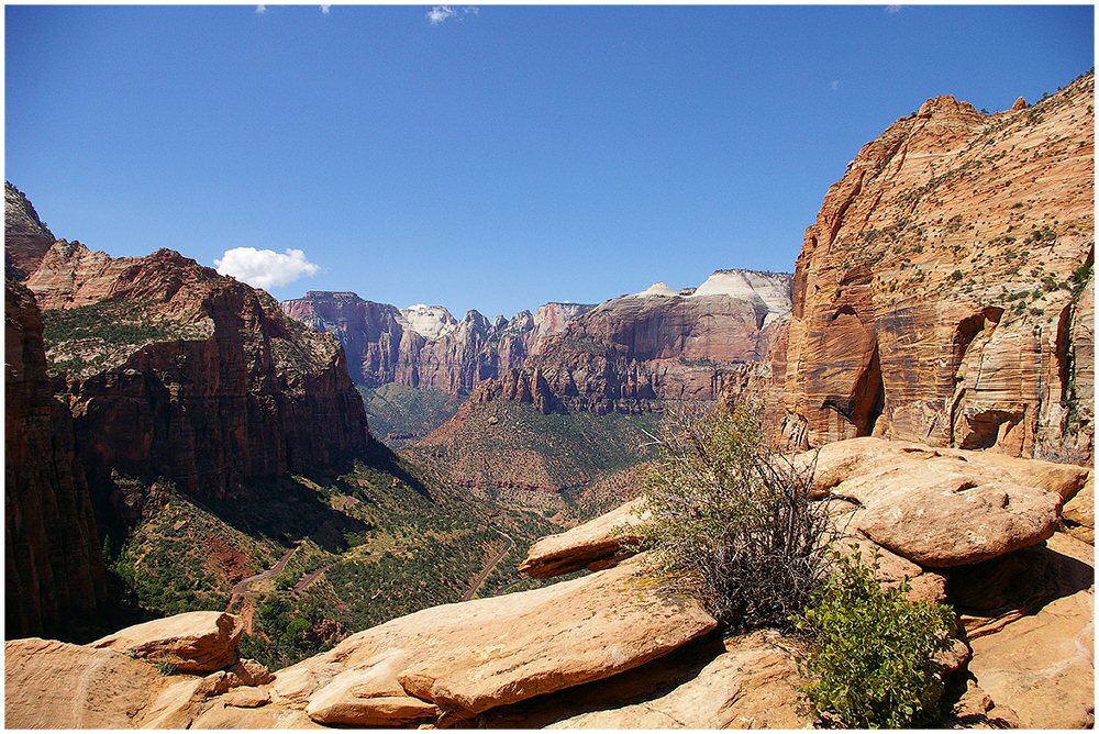 Canyon Overlook, Zion N.P.