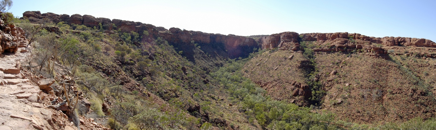 Canyon Panorama