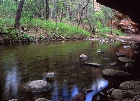 Canyon Pool