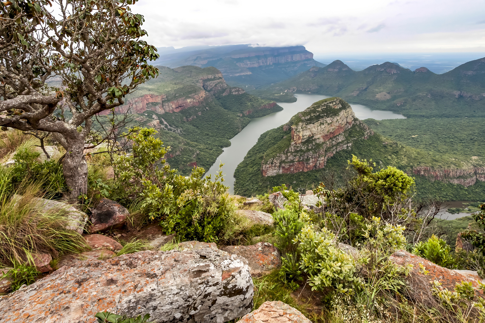 Canyon View