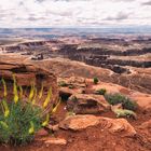 Canyonland