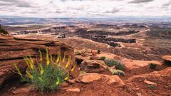 Canyonland