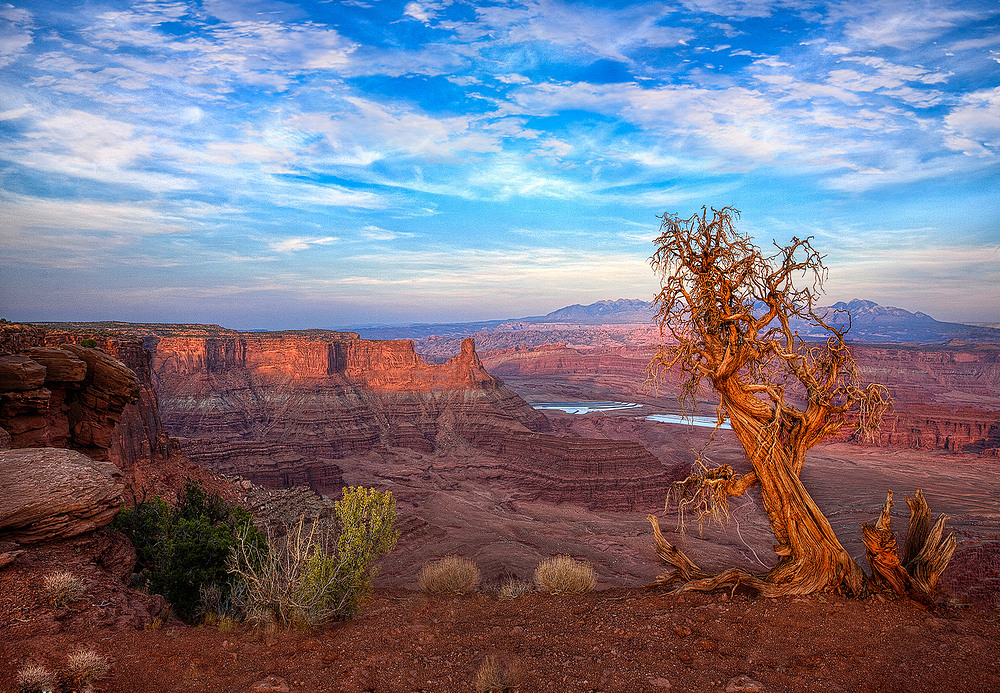 Canyonland