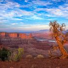 Canyonland