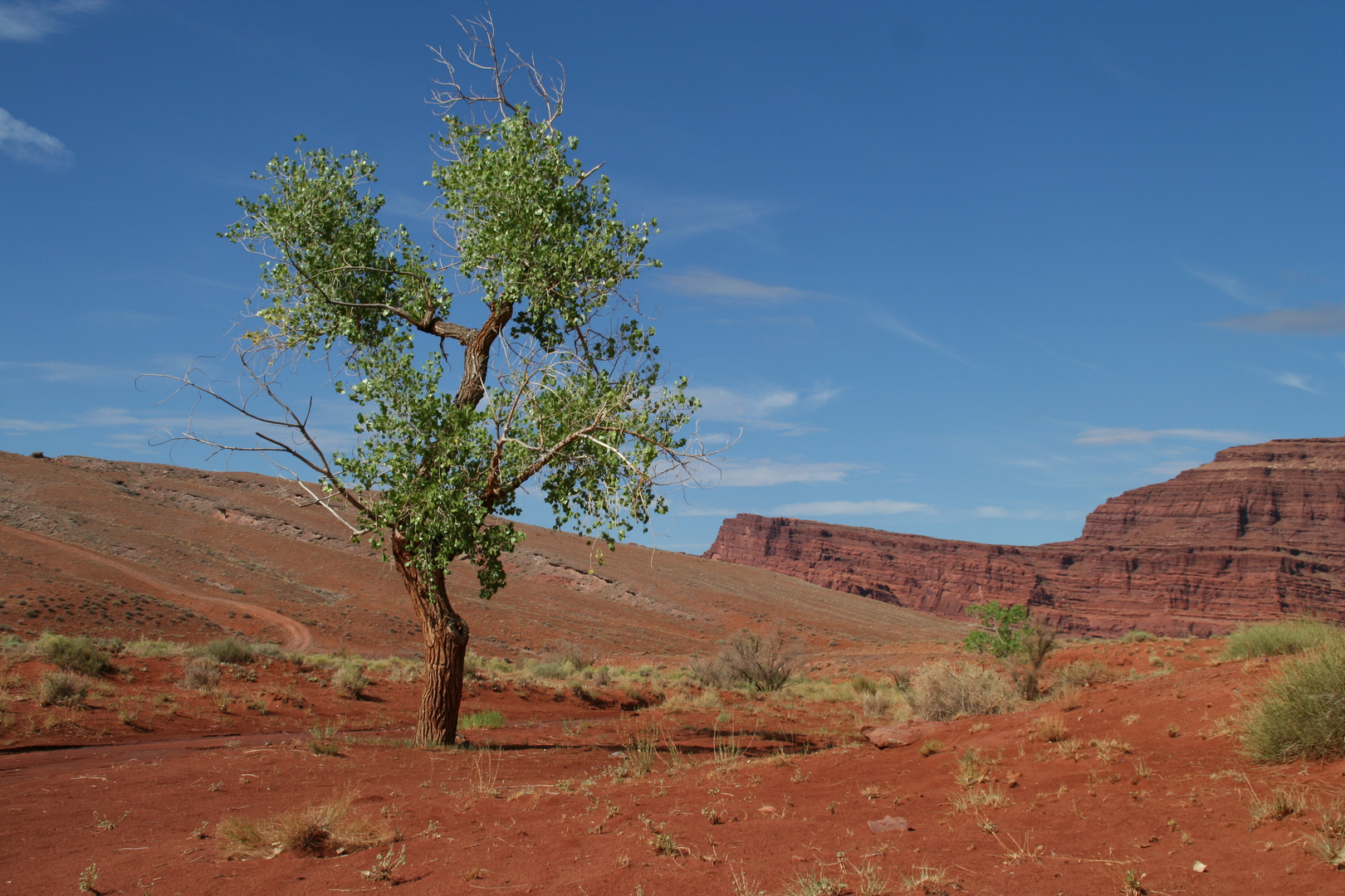 Canyonland NP