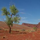 Canyonland NP