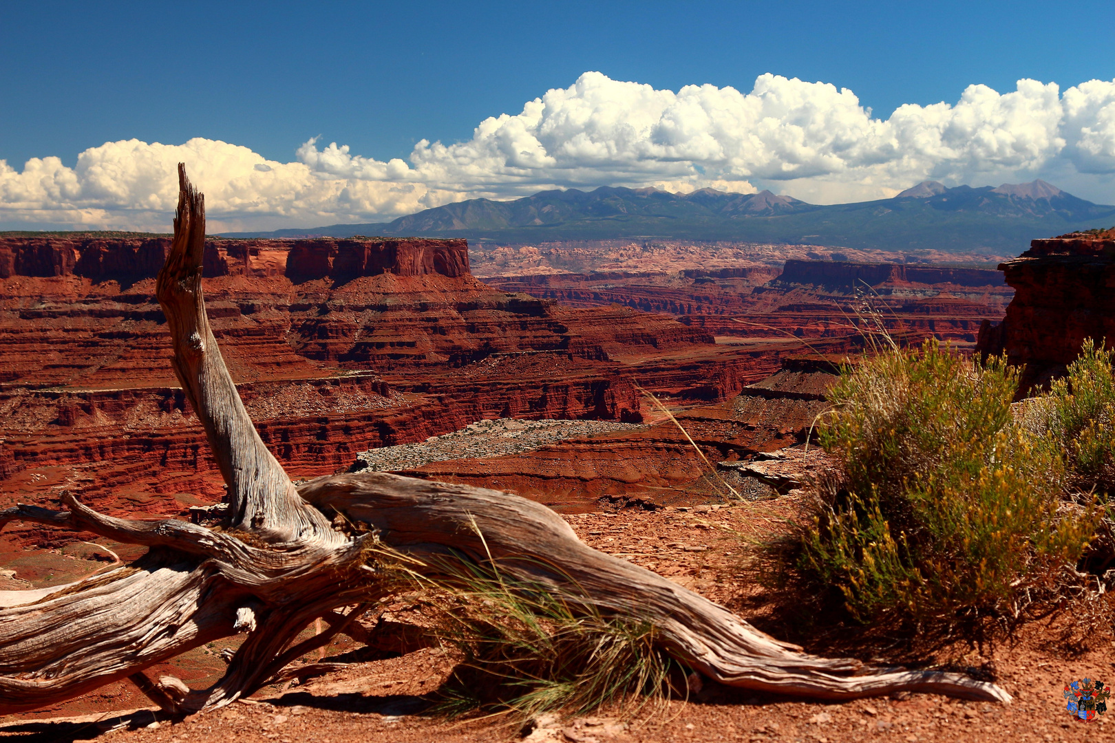 Canyonlands