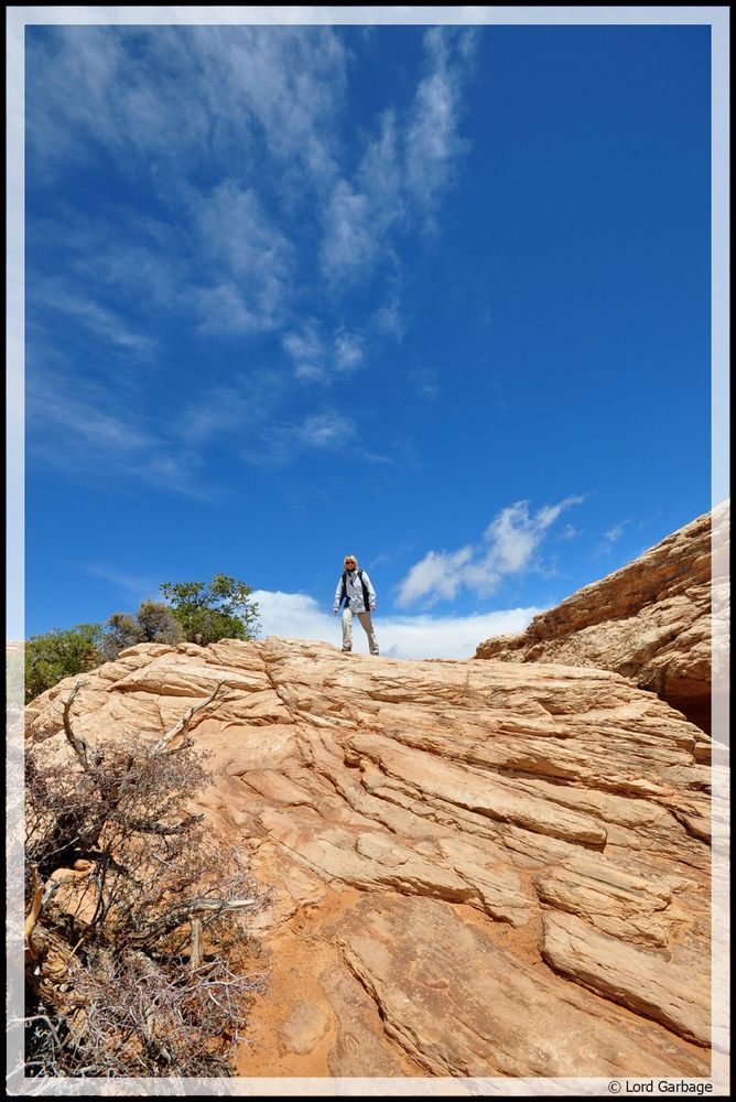 Canyonlands