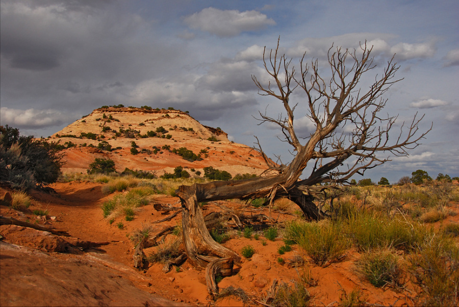 Canyonlands